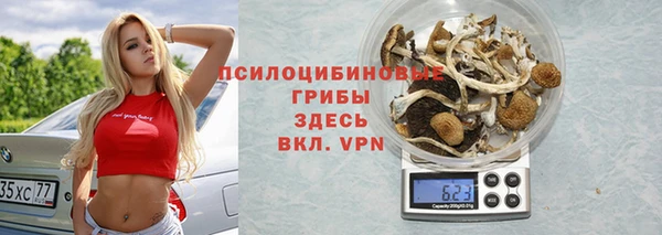 круглые Горно-Алтайск