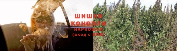 стаф Горнозаводск