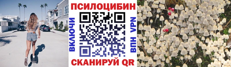 Галлюциногенные грибы Magic Shrooms  Купить где  Мценск 